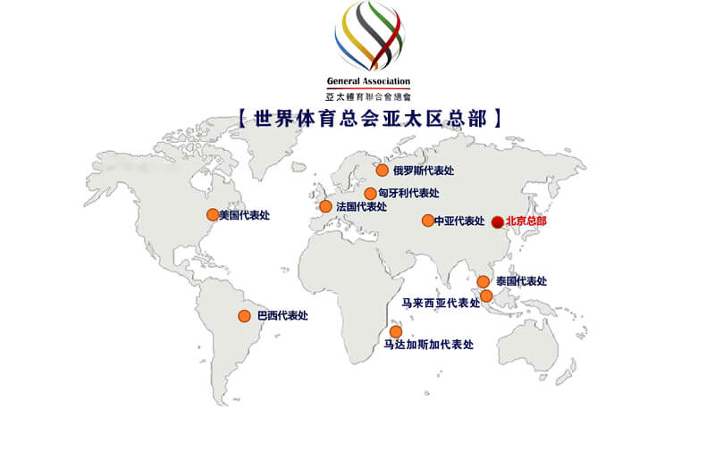 11本